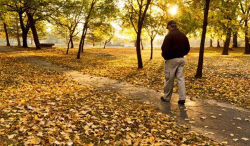 تاثیر خارق‌العاده پیاده‌روی در  فضای سبز/راهکار مهم مقابله با استرس و فشار خون بالا