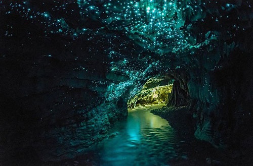 این غار را کرم‌های شب‌تاب روشن می‌کنند/تصاویر روشنایی به صورت کاملا طبیعی!