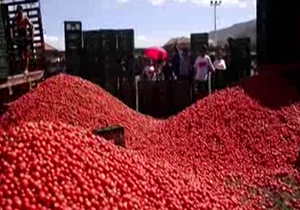 جشنواره سالانه جنگ گوجه ای 