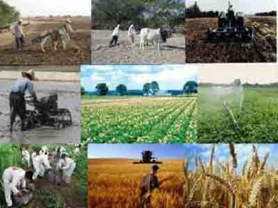 افتتاح 44 پروژه کشاورزی در چهارمحال و بختیاری