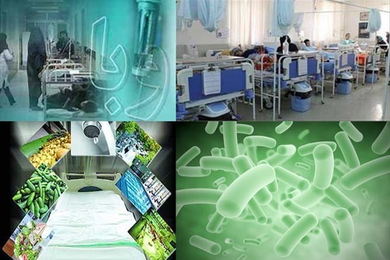باید مراقب شیوع وبا در تویسرکان باشیم