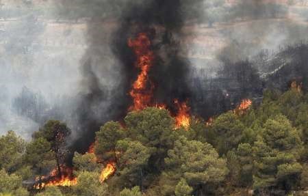 آتش سوزی وسیع جنگل های 'هاربرو' در گیلانغرب