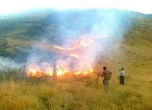 آتش سوزی نوار مرزی قصرشیرین با کمک نیروهای امدادی ، نظامی و انتظامی مهار شد
