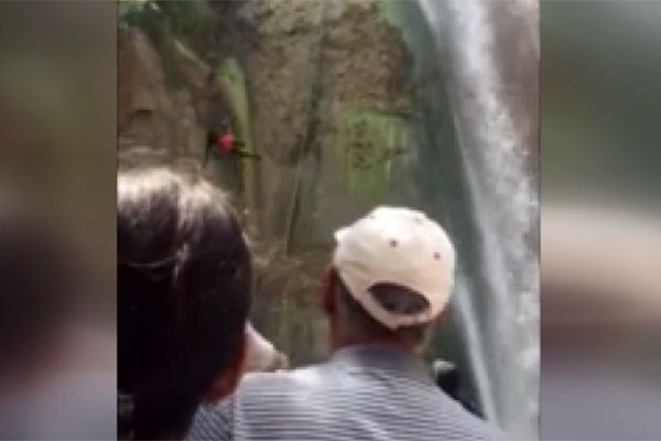 ویدئو | لحظه سقوط صخره نورد تهرانی از بالای آبشار