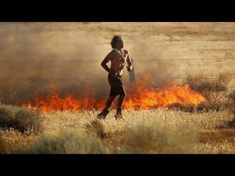 فیلم | دستگیری عامل اصلی آتش‌سوزی‌های کالیفرنیا
