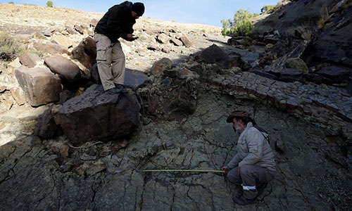 کشف ردپای ۱ متر و ۲۲ سانتیمتری دایناسور در بولیوی