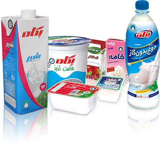 مدرن‌ترین کارخانه تولید شیر پاستوریزه خاورمیانه با رکود دست به گریبان است