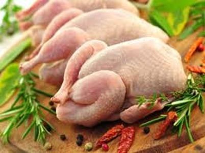 تولید 31 هزار تن گوشت مرغ در استان زنجان
