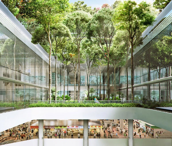 مرکز خرید با طبیعت جنگلی در سنگاپور/طراحی مجتمع تجاری-تفریحی با محوریت طبیعت