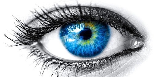 شخصیت‌شناسی از روی حالت و شکل چشم‌ها /شما در کدام گروه هستید؟