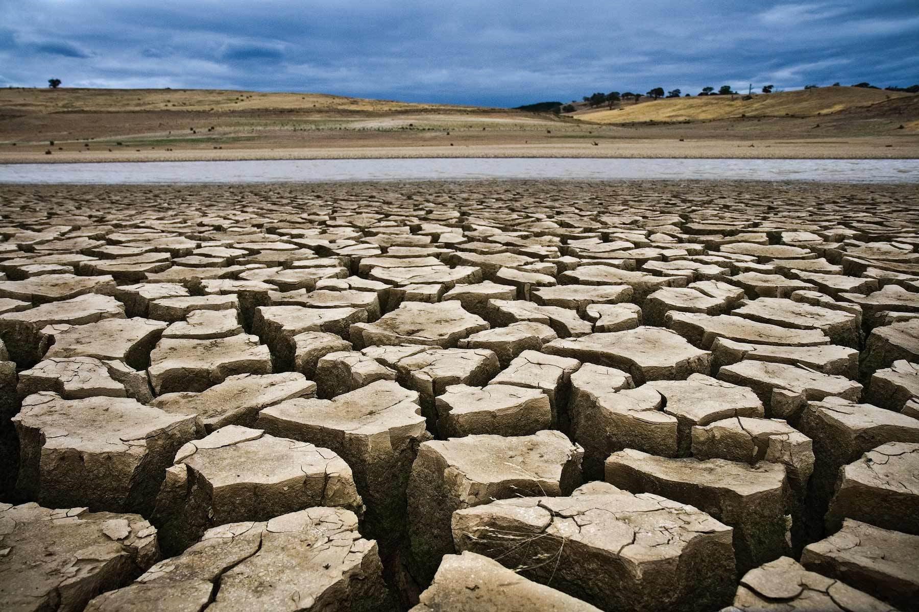 خشکسالی‌ها ۲۲۵ یلیارد تومان به سرایان خسارت زد