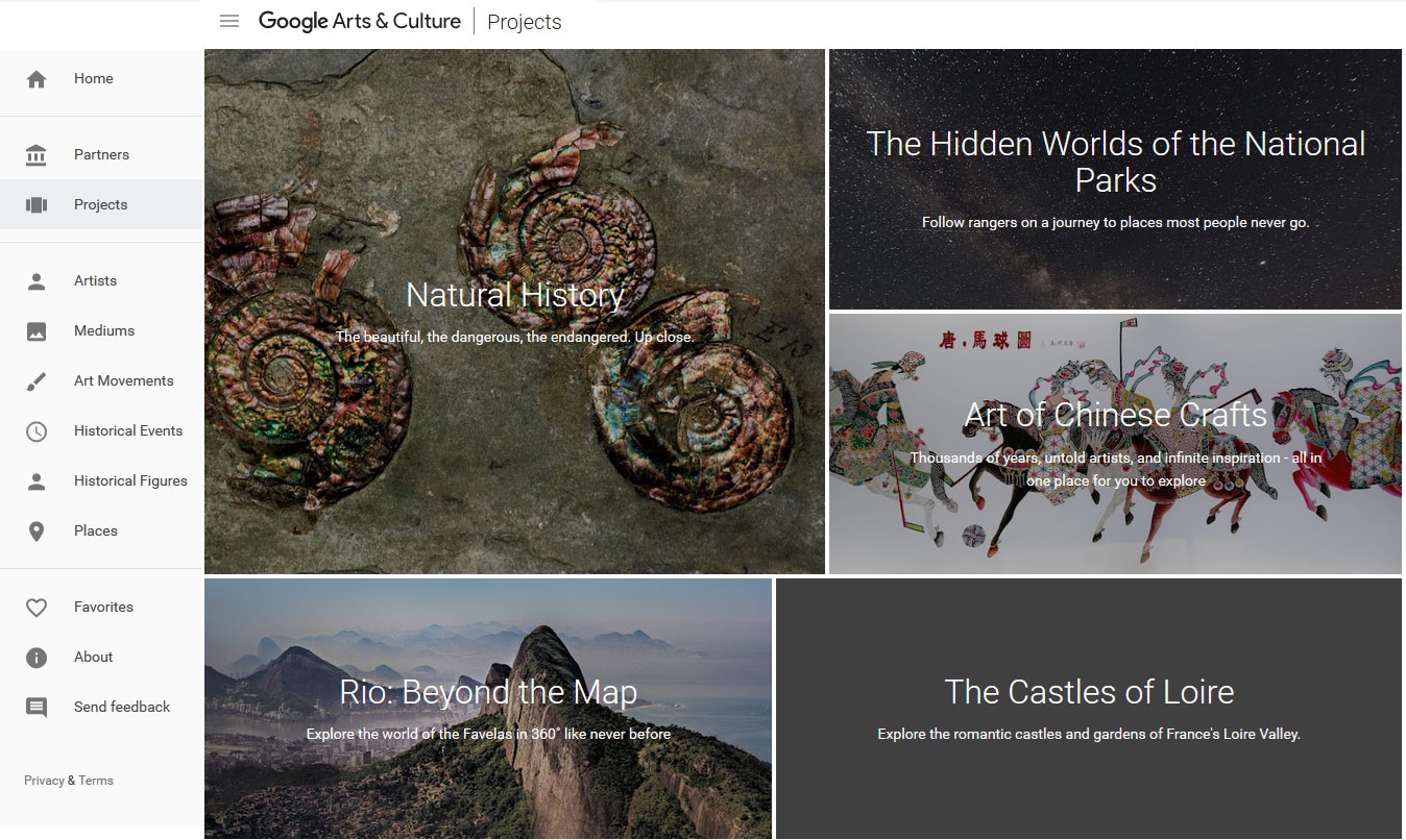 مشارکت گوگل و ۶۰ موزه تاریخ طبیعی جهان برای راه‌اندازی نمایشگاه‌های آنلاین