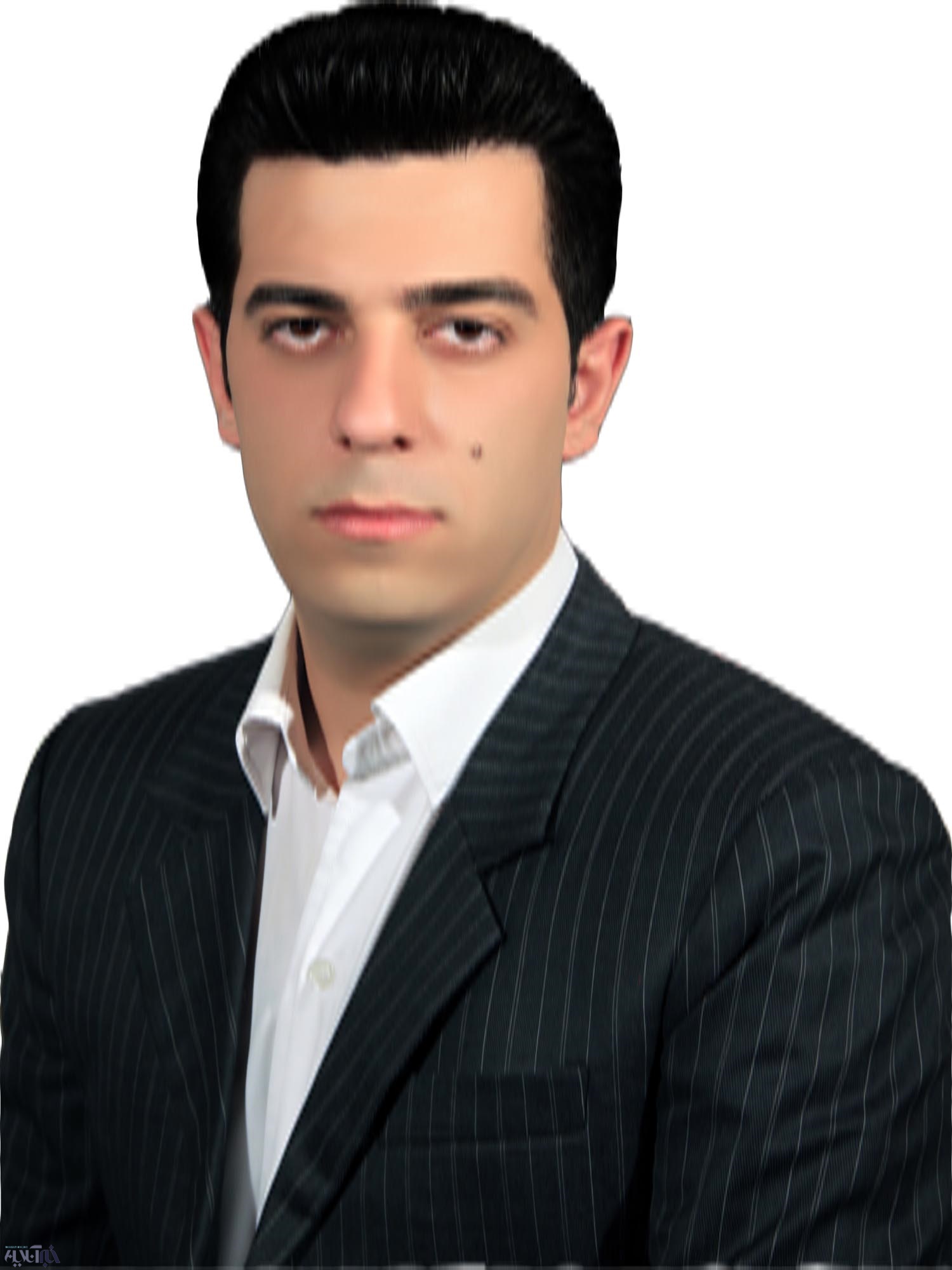 امسال درختان بلوط زاگرس قربانی شیرین زبانی خود شده‌اند