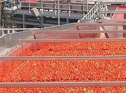 صادرات بیش از یک هزار تن رب گوجه فرنگی  زنجان به عراق و روسیه