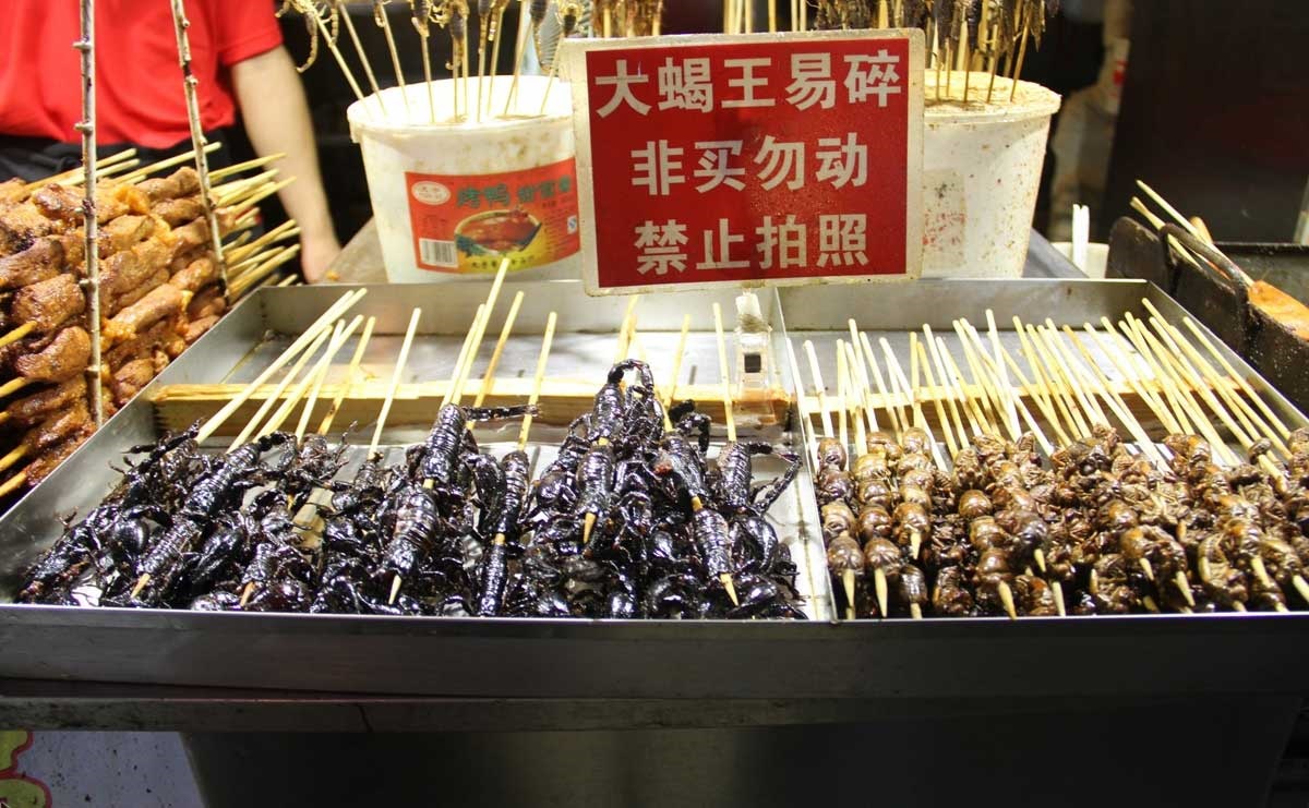 تصاویر | اغذیه‌فروشان پکن با منوی مار و عقرب