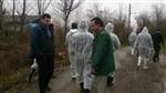 معدوم سازی مرغان خانگی مبتلا به آنفلوآنزای فوق حاد در بخش مرکزی رشت