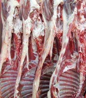 گوشت گوسفندی ۳۰ هزار تومانی در راه همدان