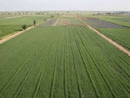 تبدیل ۱۵ هزار هکتاری اراضی کم بازده در روستای آلاچمن ایجرود