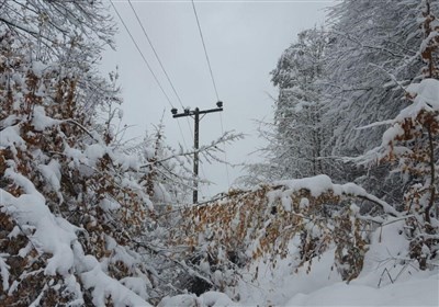 بیش از ۲۰۰ تیر برق براثر بارش برف در کرمانشاه شکسته شدن  