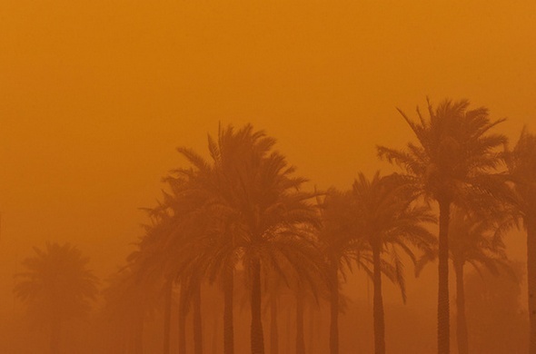 پیش بینی گرد و غبار در نوار مرزی خوزستان