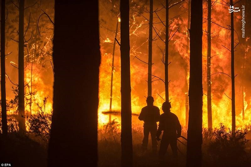 تصاویر | آتش‌سوزی مرگبار در پرتغال
