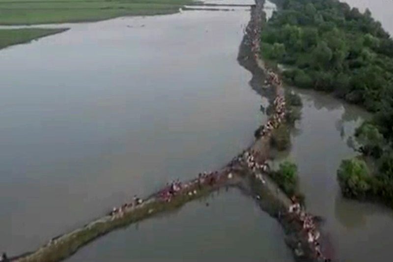 فیلم | نمای هوایی از فرار مسلمانان روهینگیایی به بنگلادش