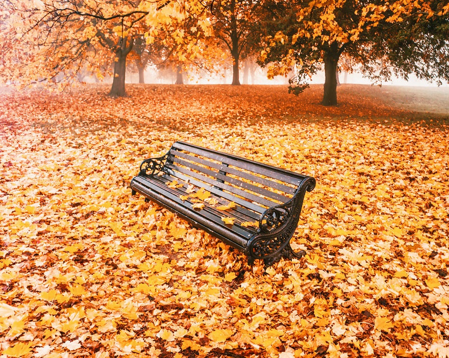 تصاویر | پاییز هزار رنگ در کشورهای اروپایی