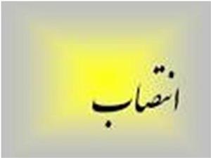 سرپرست مدیریت پژوهشی دانشگاه علوم پزشکی شهرکرد منصوب شد