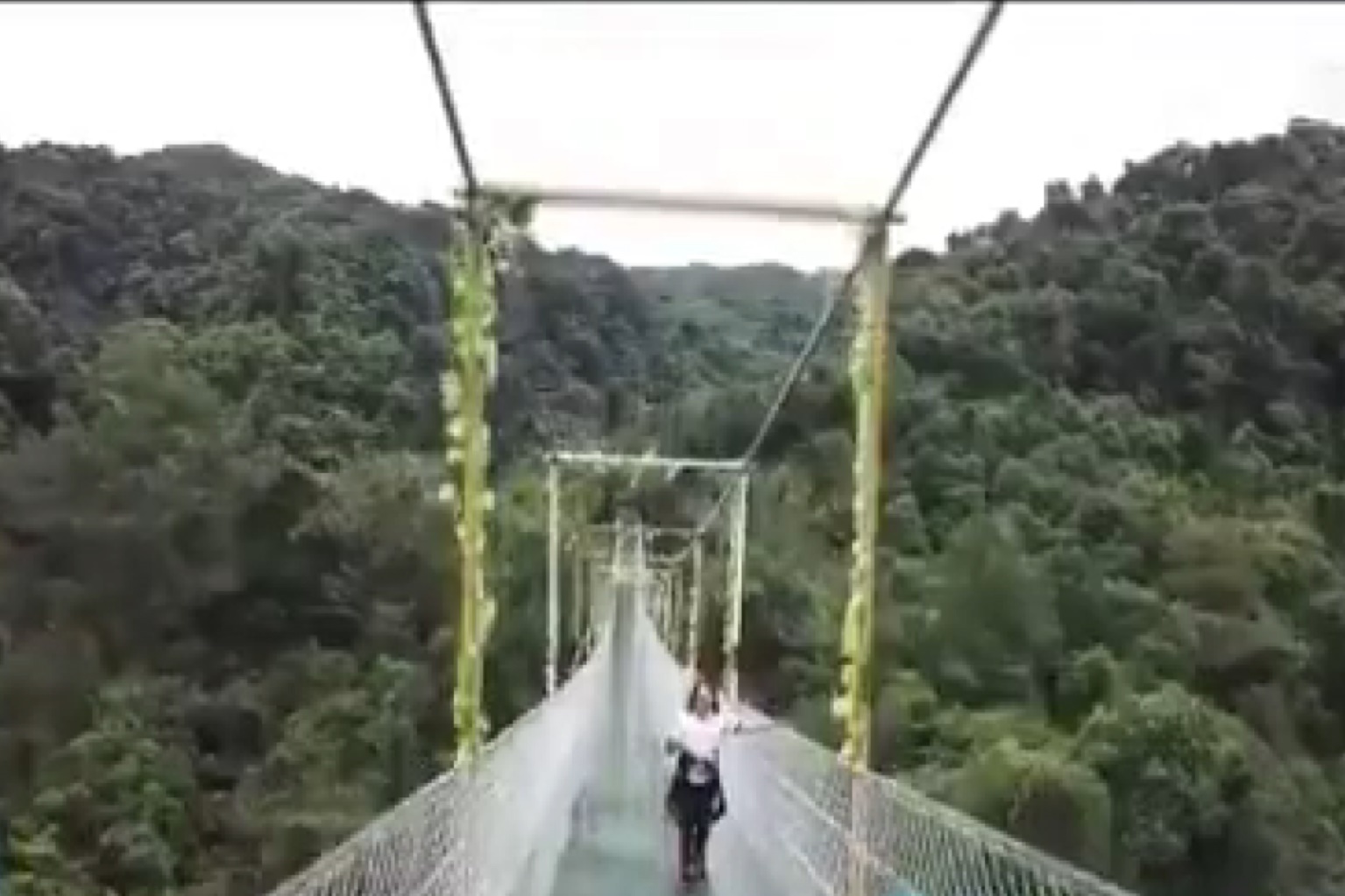 فیلم | پل معلق ۲۰۰ متری با کف شفاف برفراز جنگل‌های بکر چین