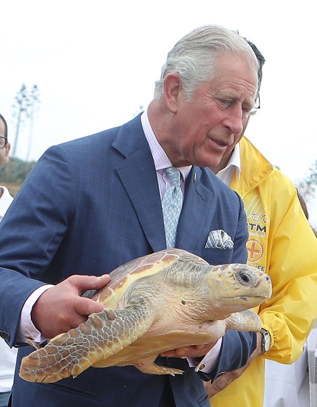 تصاویر | رهاسازی یک لاک‌پشت در دریا توسط ولیعهد بریتانیا!