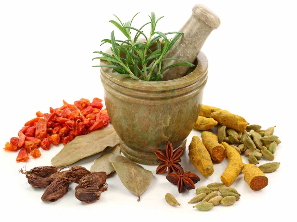 شناسایی ۴۰۰ نوع گیاه دارویی در استان اردبیل
