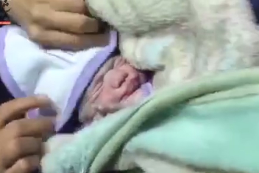 فیلم | تولد یک نوزاد دیگر در بیمارستان صحرایی سرپل ذهاب