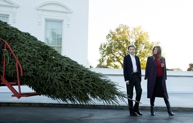 تصاویر | درخت ۶ متری که ملانیا ترامپ برای کریسمس سفارش داد