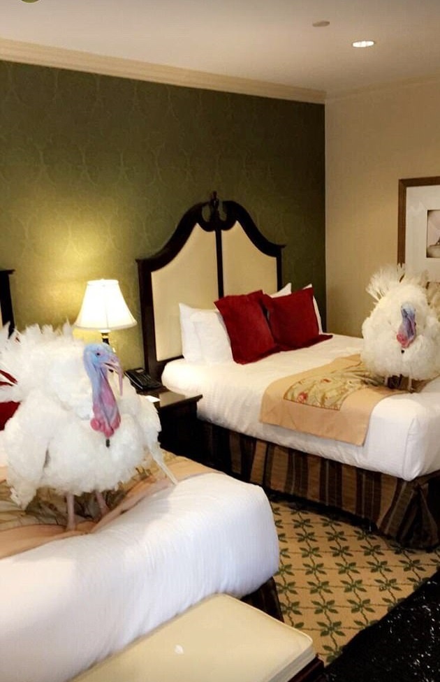 تصاویر | هتل مجللی که بوقلمون‌های جشن شکرگزاری کاخ سفید در آن اقامت دارند
