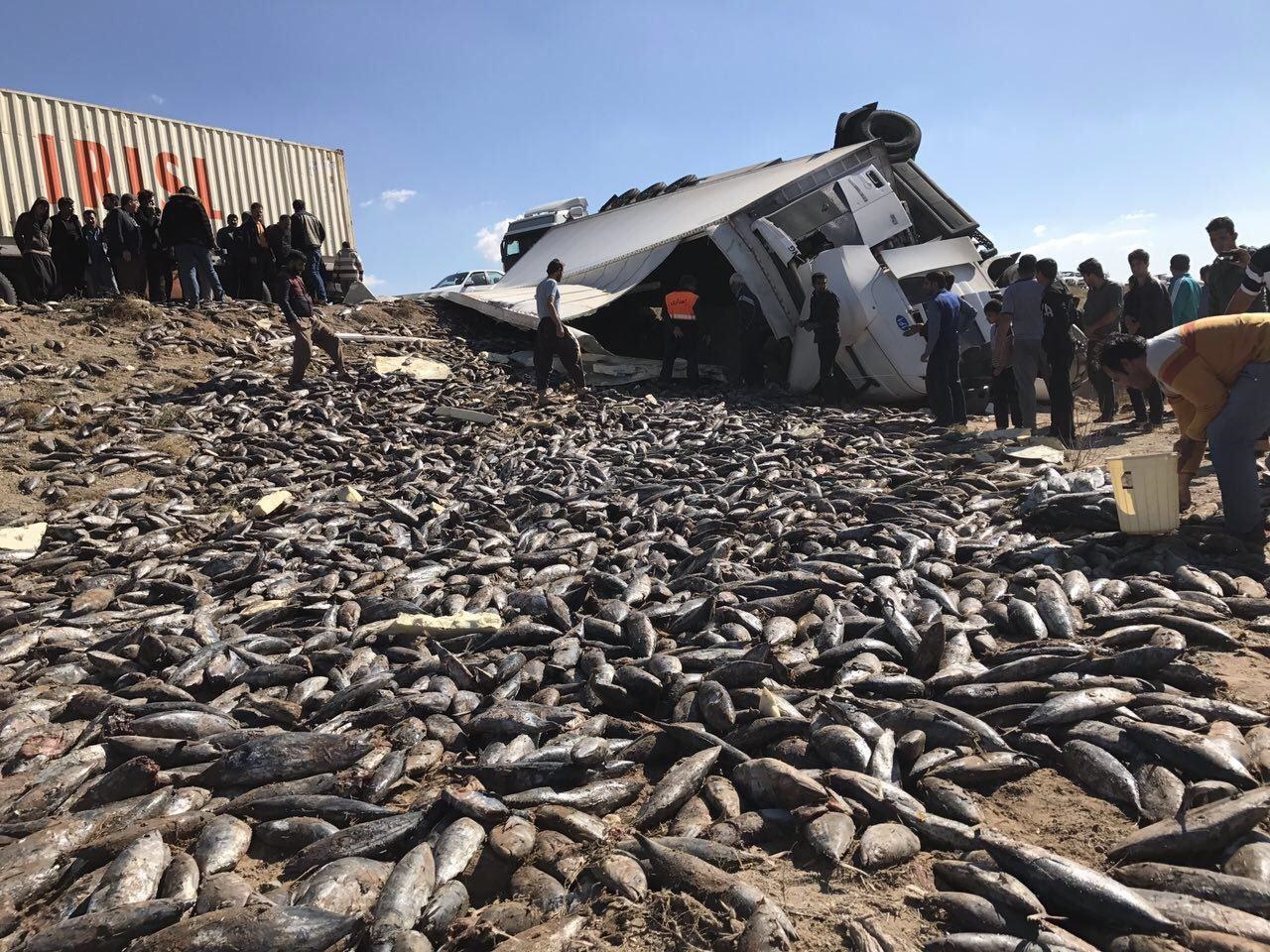 تصاویر | واژگونی تریلر حامل بار ماهی در کرمان