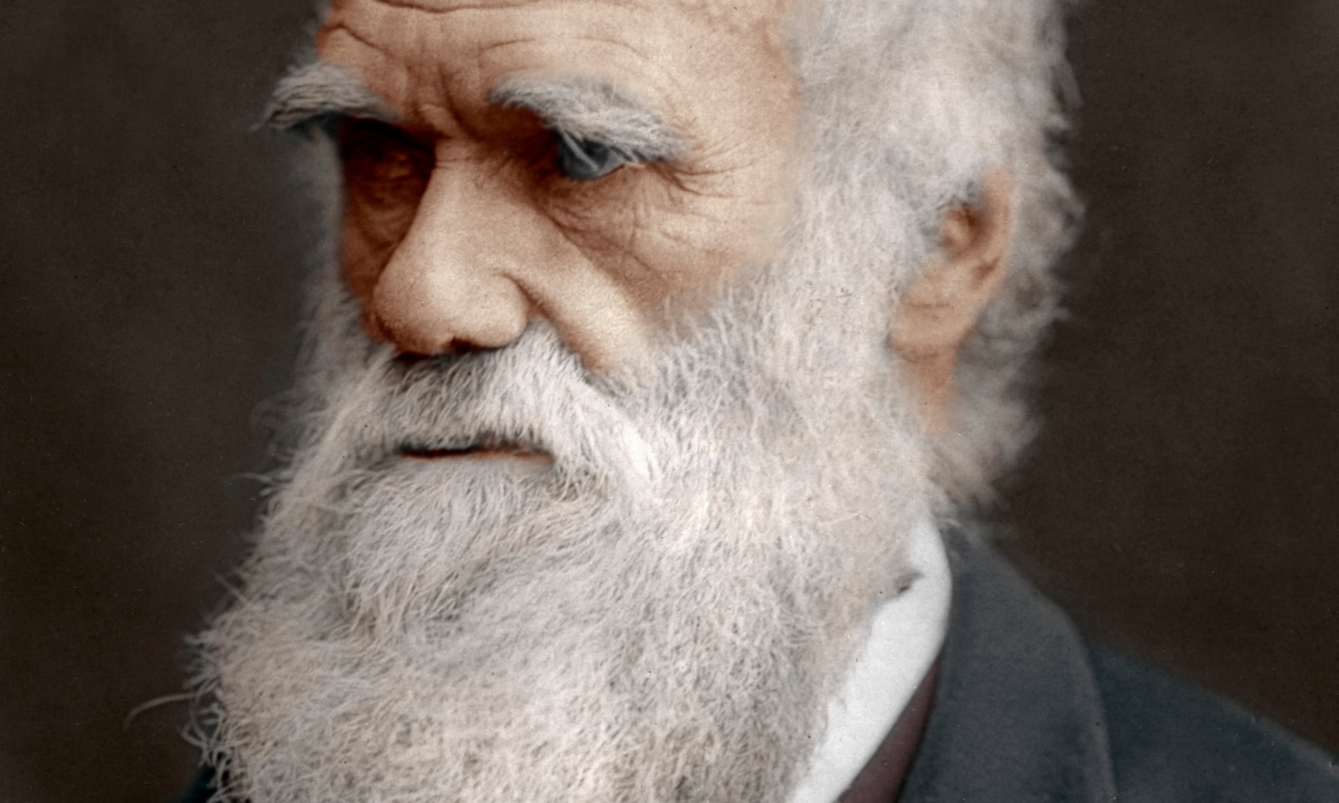 حراج یک نسخه کمیاب از اثر مشهور چارلز داروین/ عکس