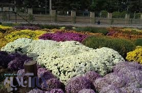 بازدید نماینده خرم آباد از باغ گیاه شناسی زاگرس