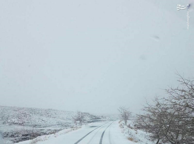 عکس | بارش برف پاییزی در جاده طرقبه