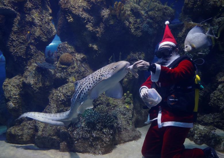 تصاویر | بابانوئل‌ها در چهارگوشه دنیا | هنرنمایی زیر آب و روی کوه!