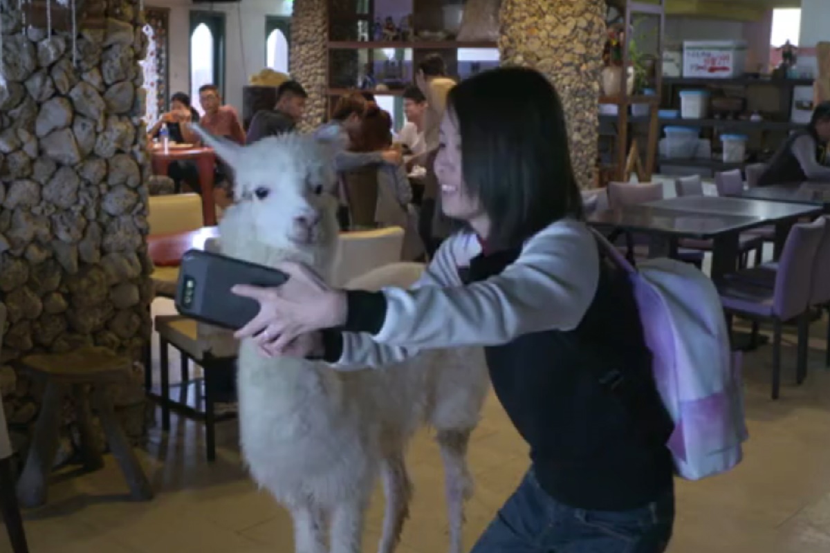 فیلم | میزبانی عجیب در یک رستوران تایوانی