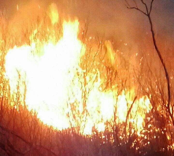 آتش‌سوزی تالاب‌ها به نوروزلو میاندوآب رسید / علت در دست بررسی است