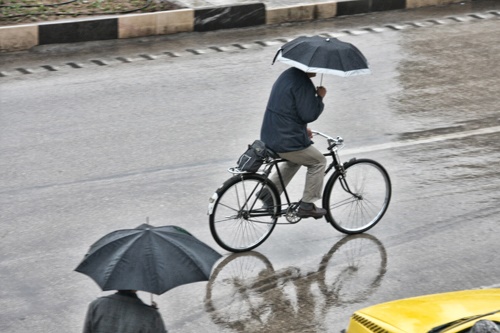 بارش باران همچنان در استان کرمان ادامه دارد