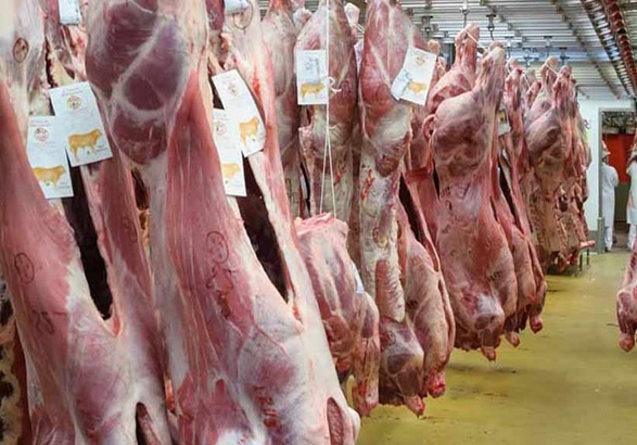 عرضه گوشت گرم ۳۰ هزار تومانی از فردا آغاز می‌شود