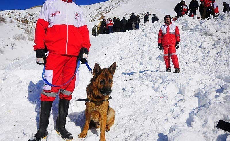 ۵ تیم امداد نجات به دنبال کوه‌نوردانی که زیر بهمن لواسان گیر افتادند/ اسامی مفقودان