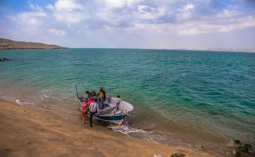 تصاویر | جزیره‌ای در خلیج فارس که دلفین‌ها آن را خانه خود می‌دانند