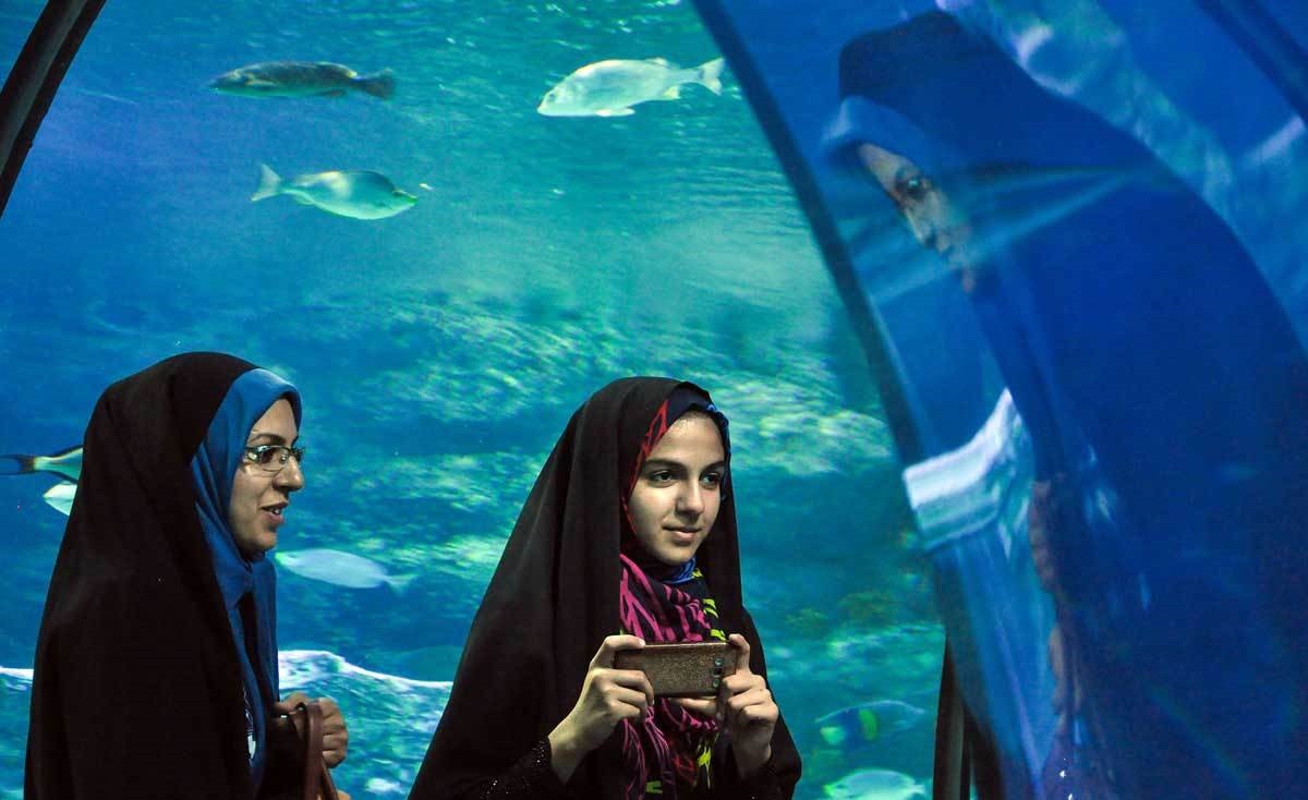 تصاویر | تونل آکواریوم، جاذبه ای نو در گردشگری اصفهان