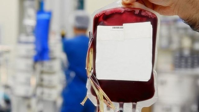 نیاز به اهدای خون روزی از بین می‌رود؟/ گام بزرگ برای تولید انبوه گلبول قرمز