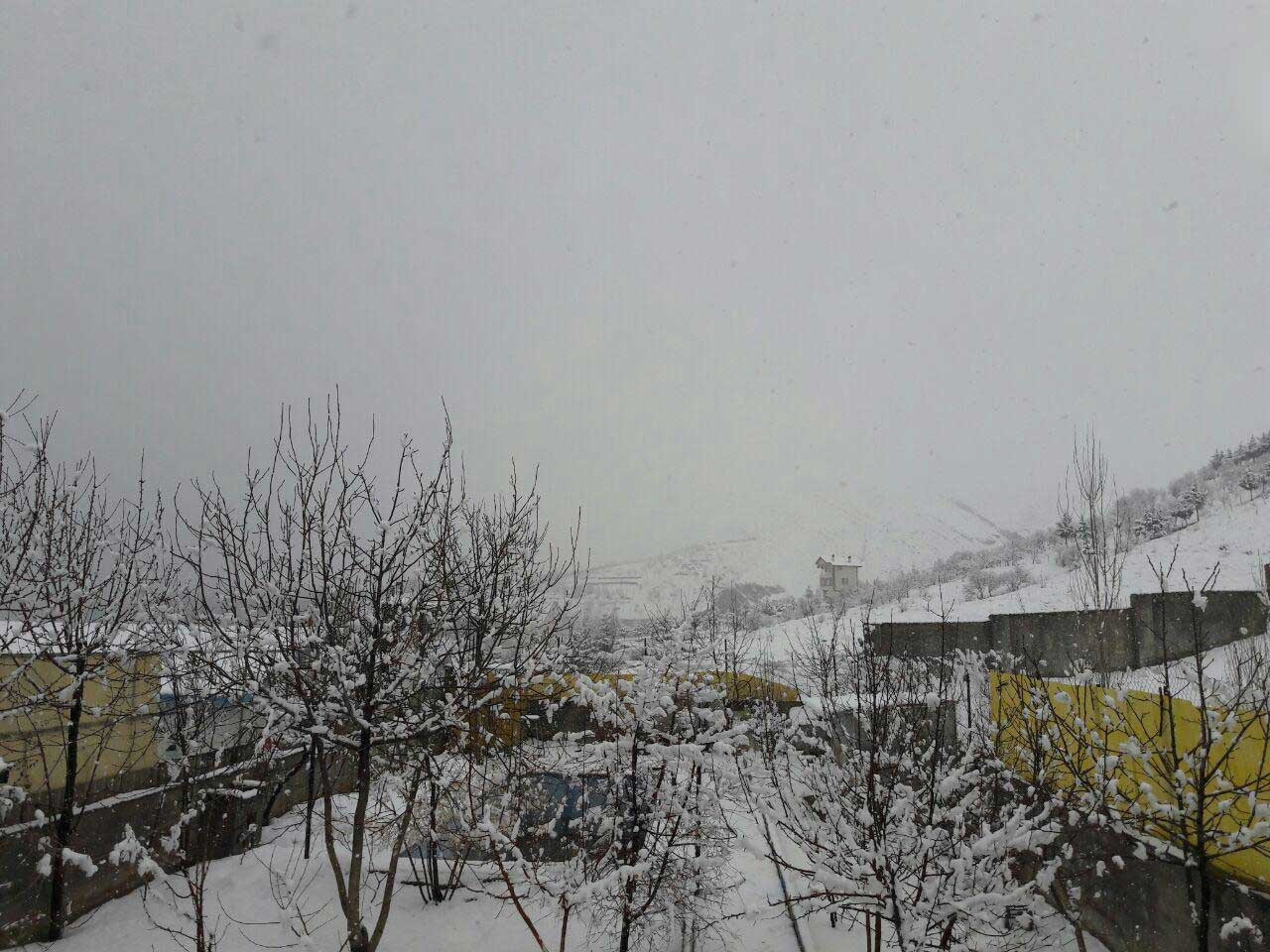 عکس | بارش برف در یک قدمی تهران