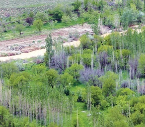 زنگ خطر در انتظار منابع طبیعی استان زنجان 
