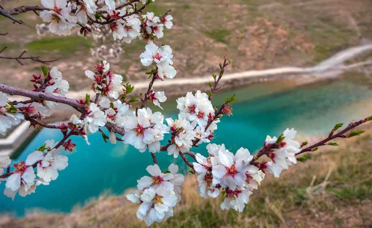 عکس طبیعت بهاری ایران